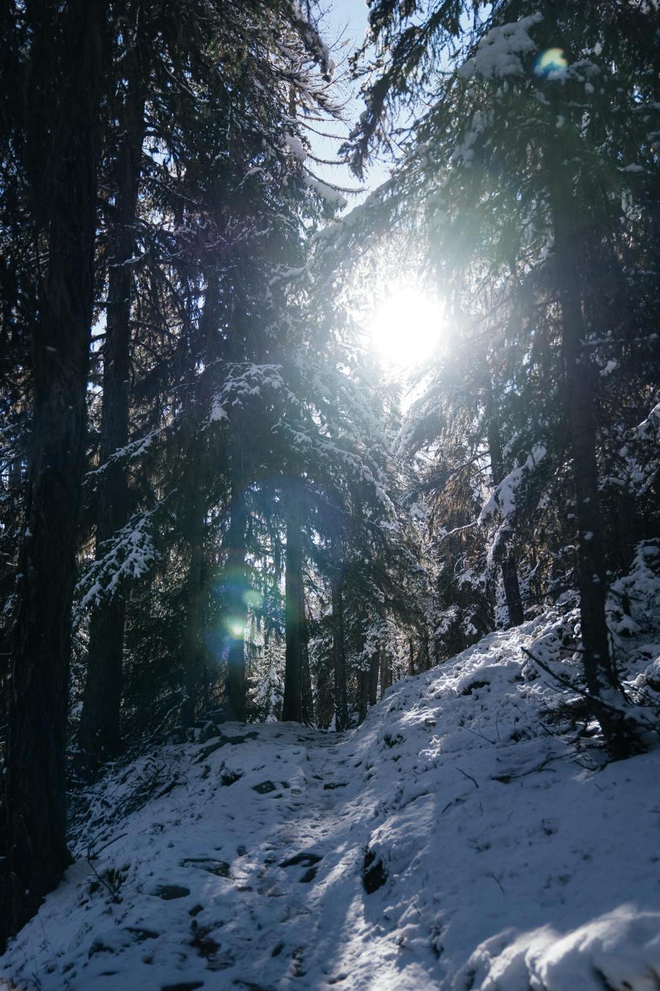 Waldhotel Fletschhorn Saas-fee 4*