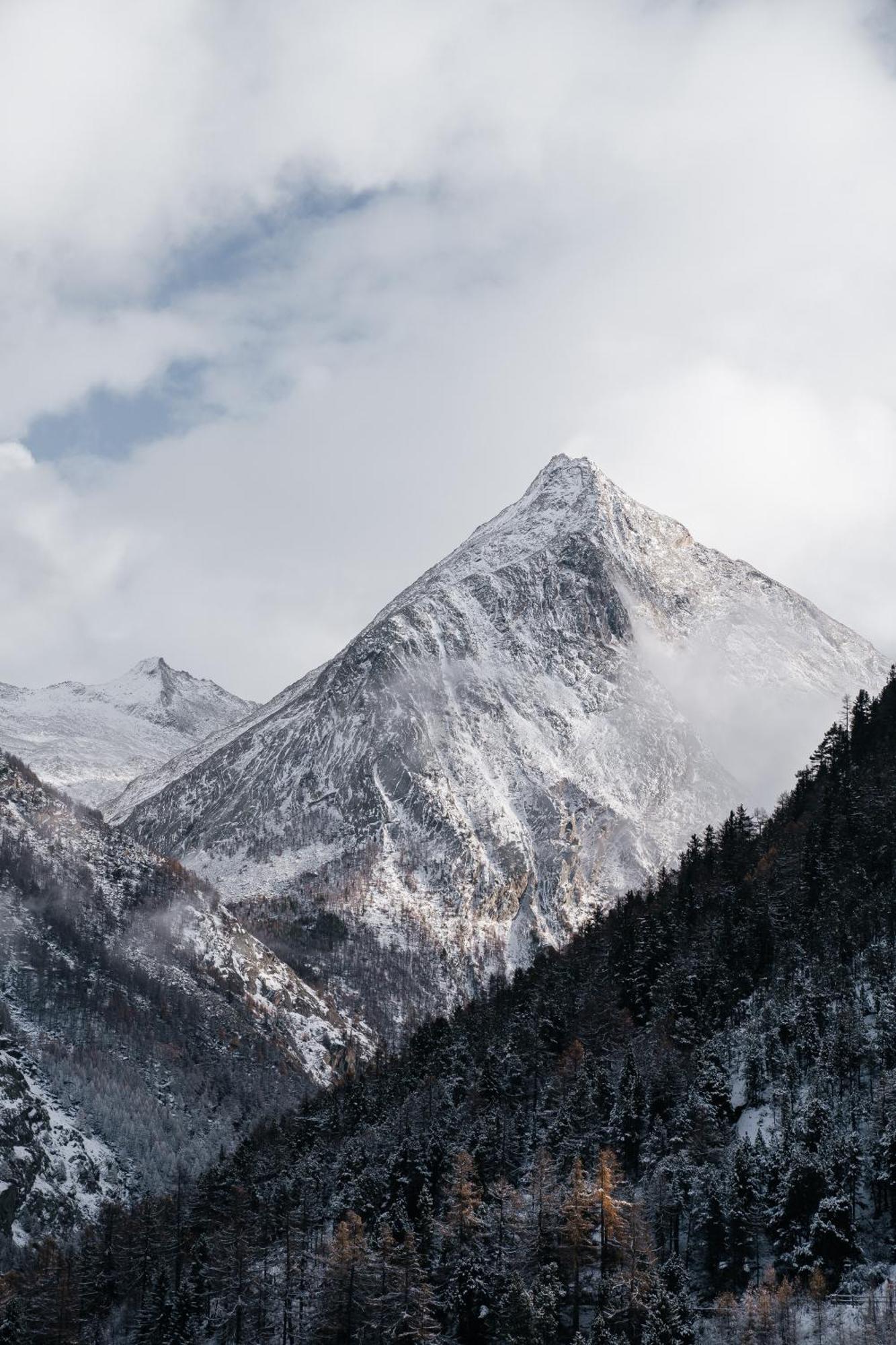 Waldhotel Fletschhorn Saas-fee Hotel 4*