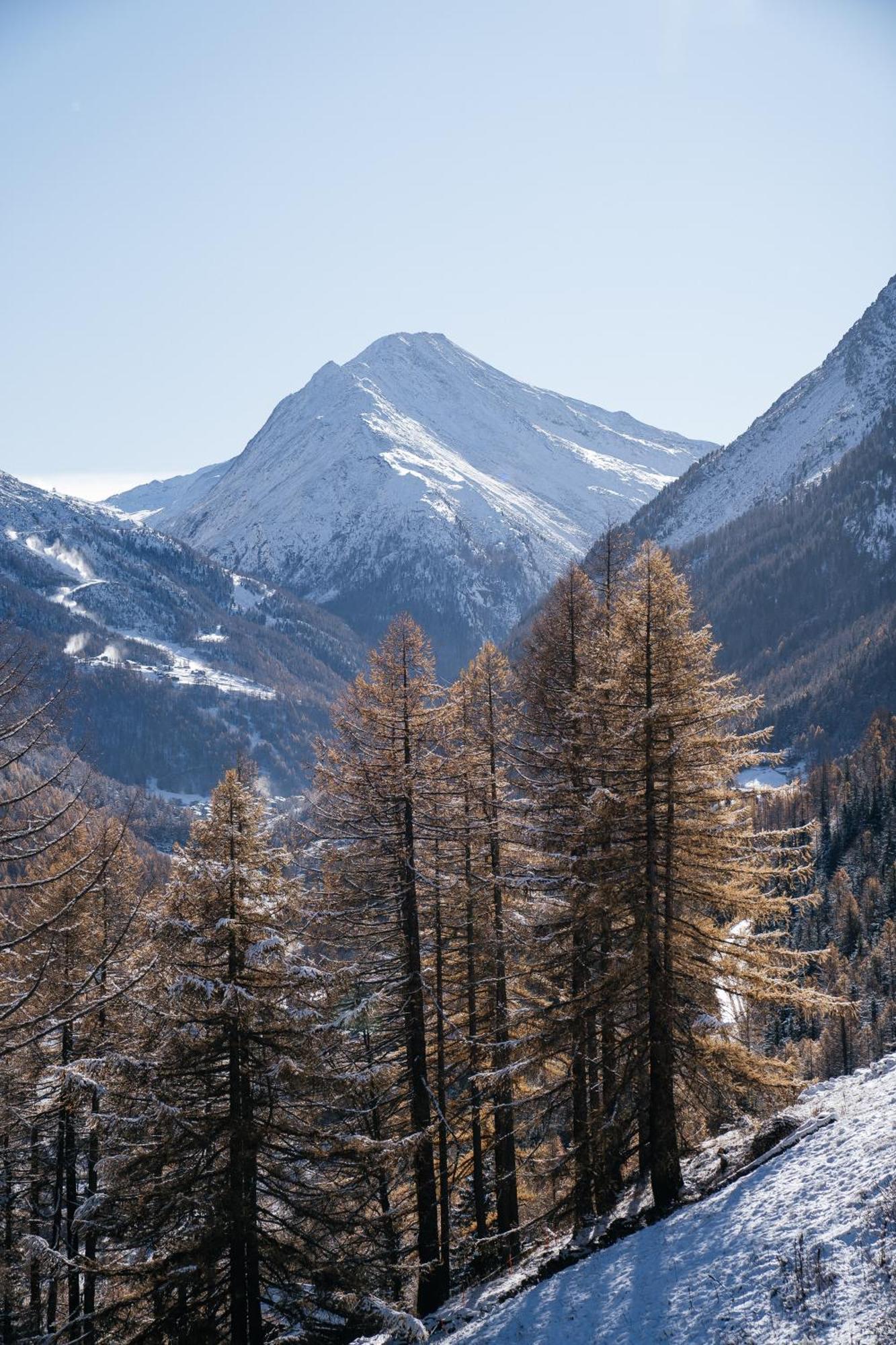Waldhotel Fletschhorn Panoramic Retreat In Fee होटल Saas-Grund