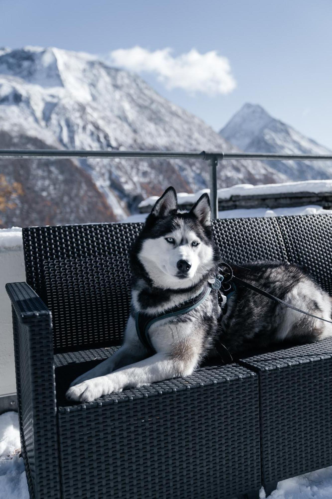 Hotel Waldhotel Fletschhorn Saas-fee Saas-Grund